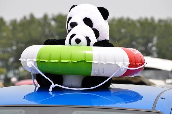 PANDA2014 (31).JPG